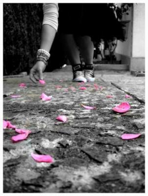 PoEmE