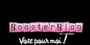 BOOSTE TON BLOG